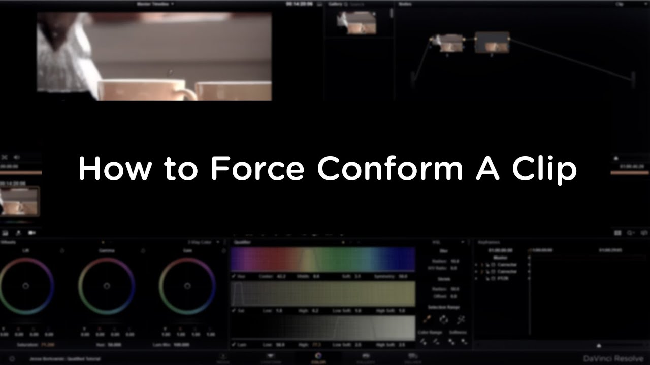 DaVinci Resolve 9 - How to Force Conform a Clip
