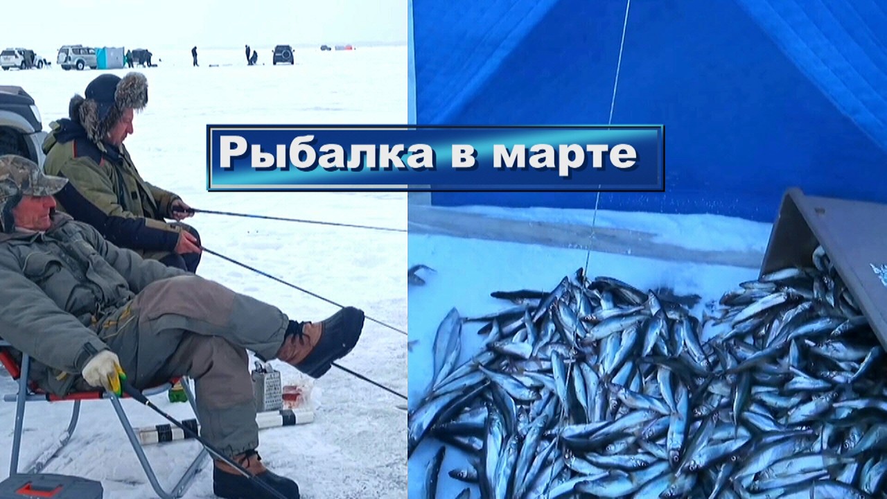 Подлёдная рыбалка корюшки на Хусси (Татарский пролив) в марте/Команда 
