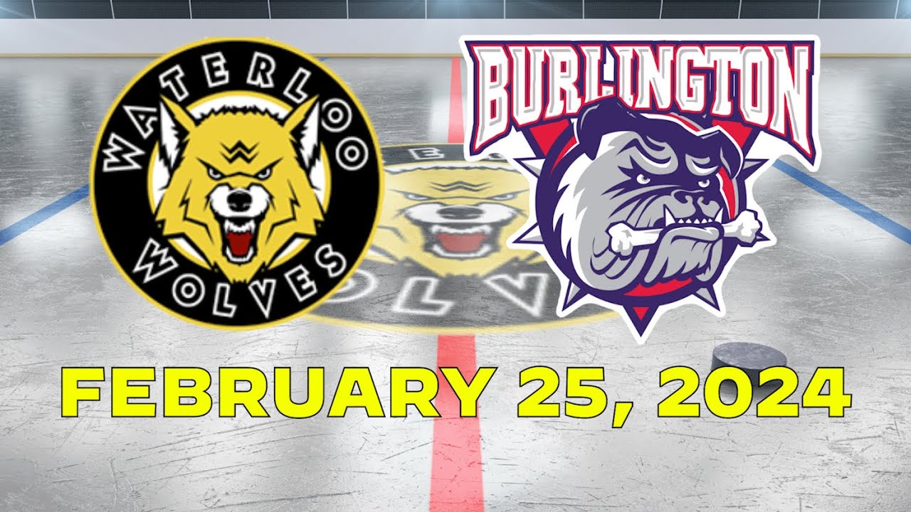 25 Feb 2024, U12 BB Waterloo Wolves 2 - Burlington Bulldogs 1