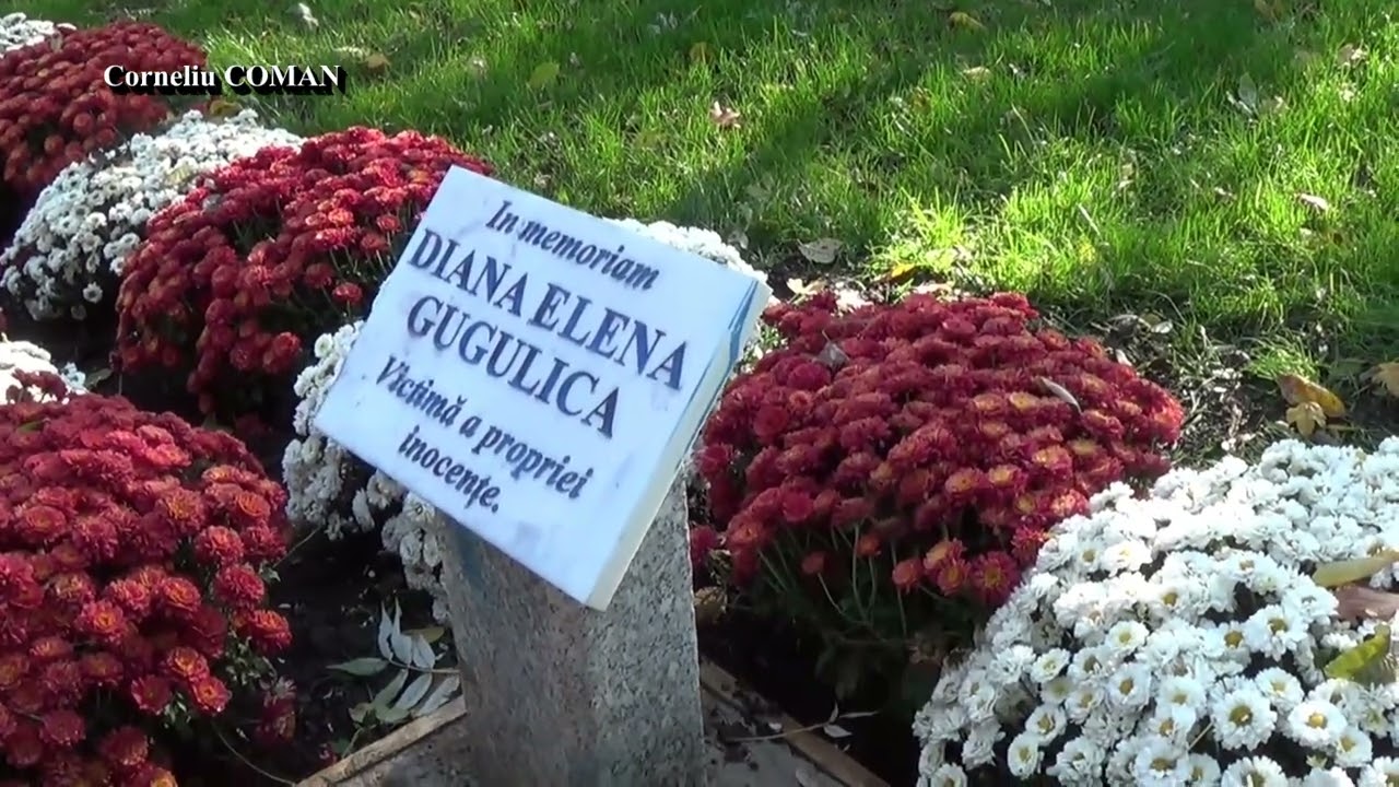 DIANA ELENA GUGULICA DE LA IASI