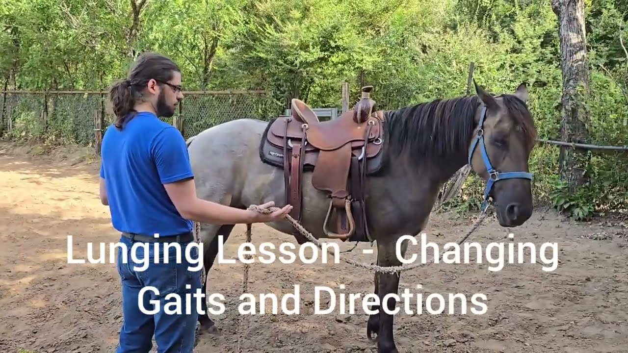 Lunging Lesson - How to start lunging a horse, changing gaits and direction on the lunge line