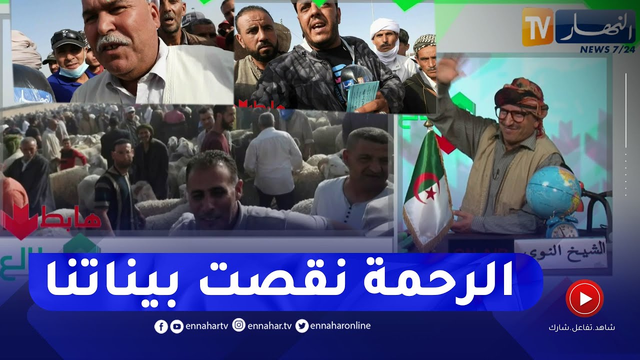 الشيخ النوي: غياب الأخلاق في أسواق الماشية والدولة غايبة.. السماسرة داروا حالة