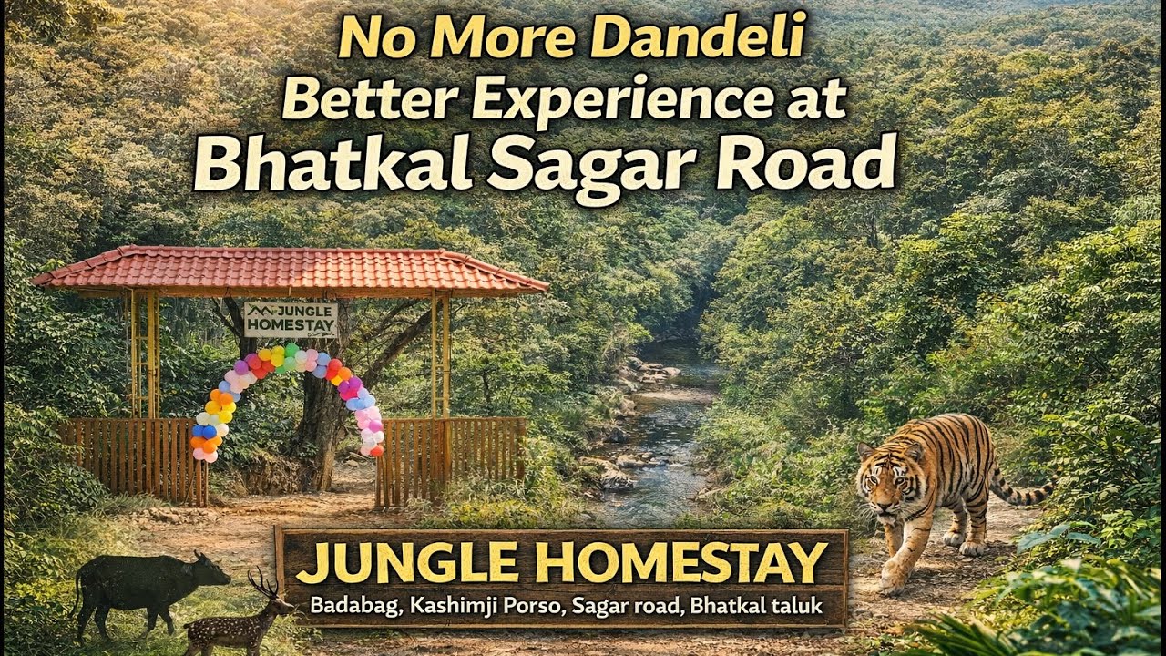 No More Dandeli | Now At Bhatkal Taluk | Jungle Homestay | Adventures Picnic Spot