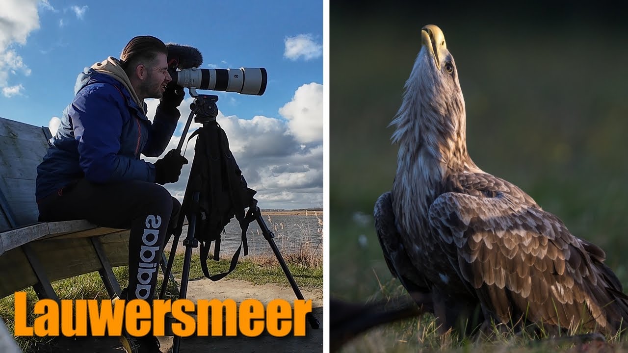 Vogelskijken in het Beste zoetwatergebied van Nederland!