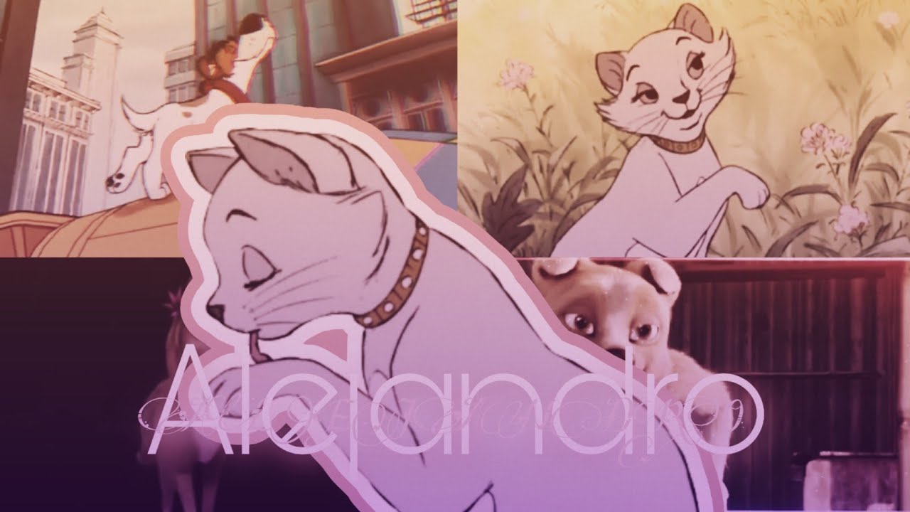 Animash | Alejandro