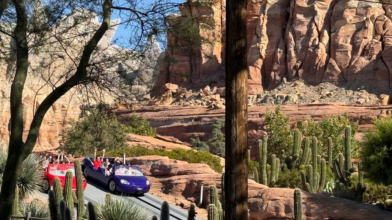 ✨ Live from Disney California Adventure!