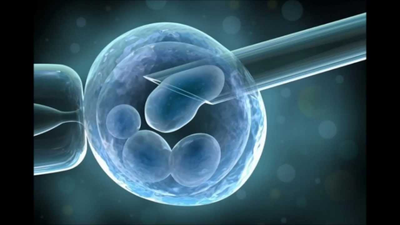 Genotype and Phenotype