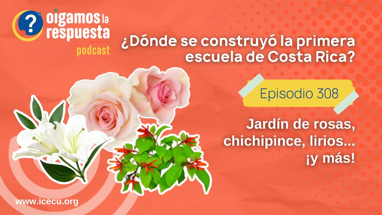 Ep 308: Programa del Recuerdo 2012