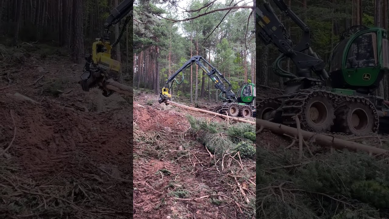 Harvester 1270g #jhondeer #madera #viral #johndeere #love #bosque #harvester #machine #woodworking