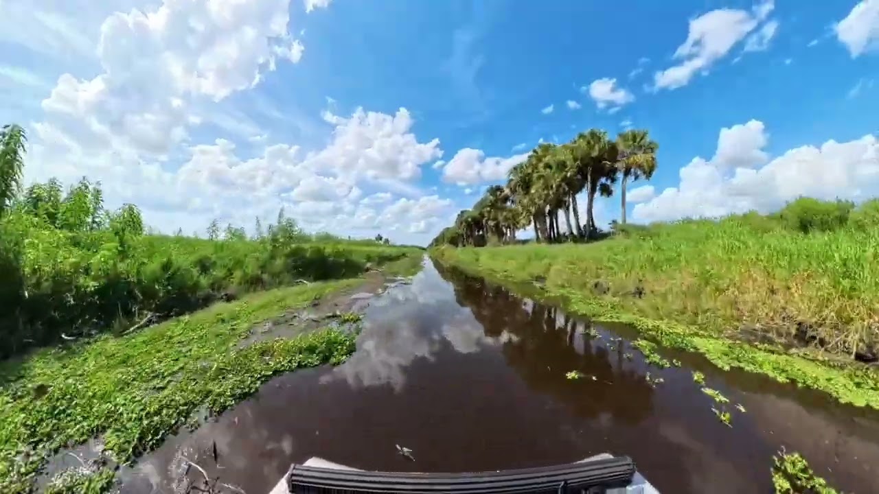 Relaxing 28-Minute Airboat Tour on the St. Johns River, Florida