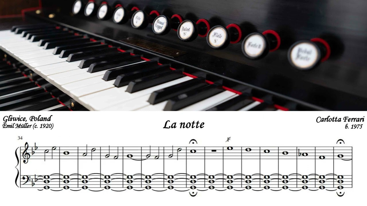 Carlotta Ferrari - La notte