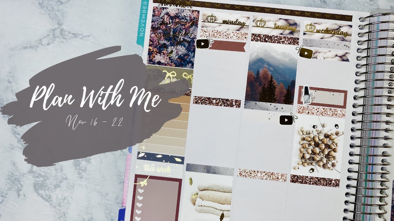 Plan With Me | ft. Dash of Sun Designs | collab with VivLuvstoPlan | Nov 16 - 22