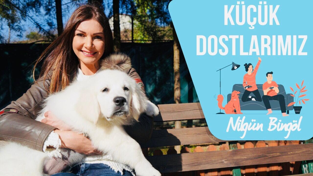 Yetenek Sizsiniz 2012 Birincisi Ali Yeşilırmak Ve Max’in Torunu Teo ile Köpek Eğitimi Üzerine Sohbet