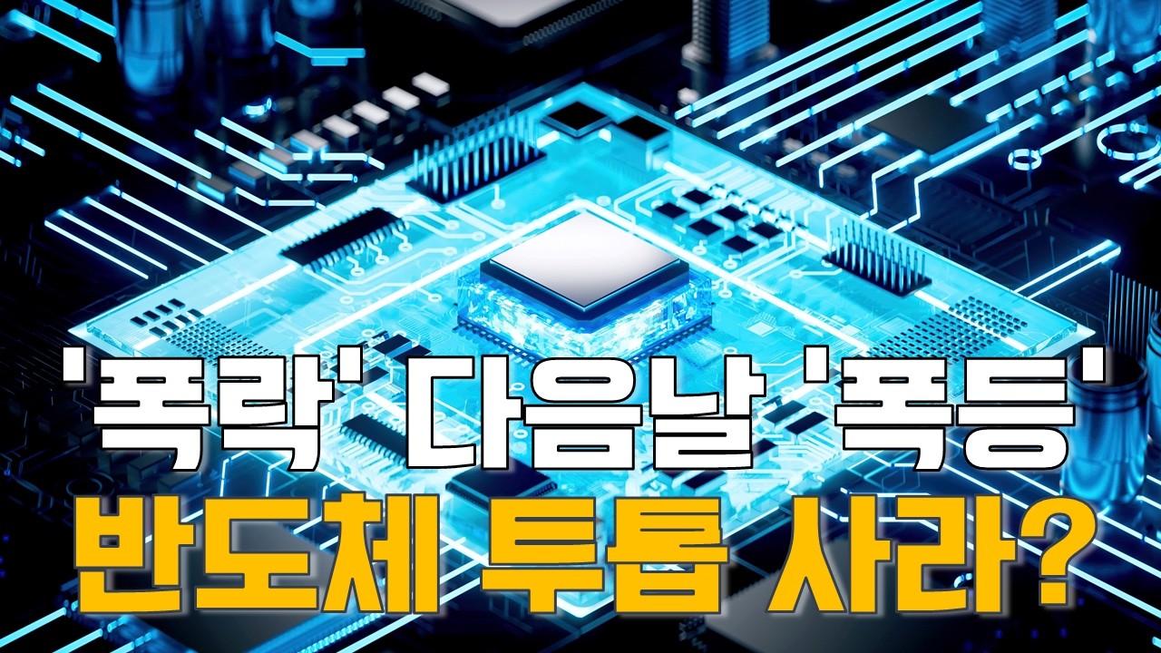 [마켓A컷] ‘폭락’ 다음날 ‘폭등’…반도체 투톱 사라?
