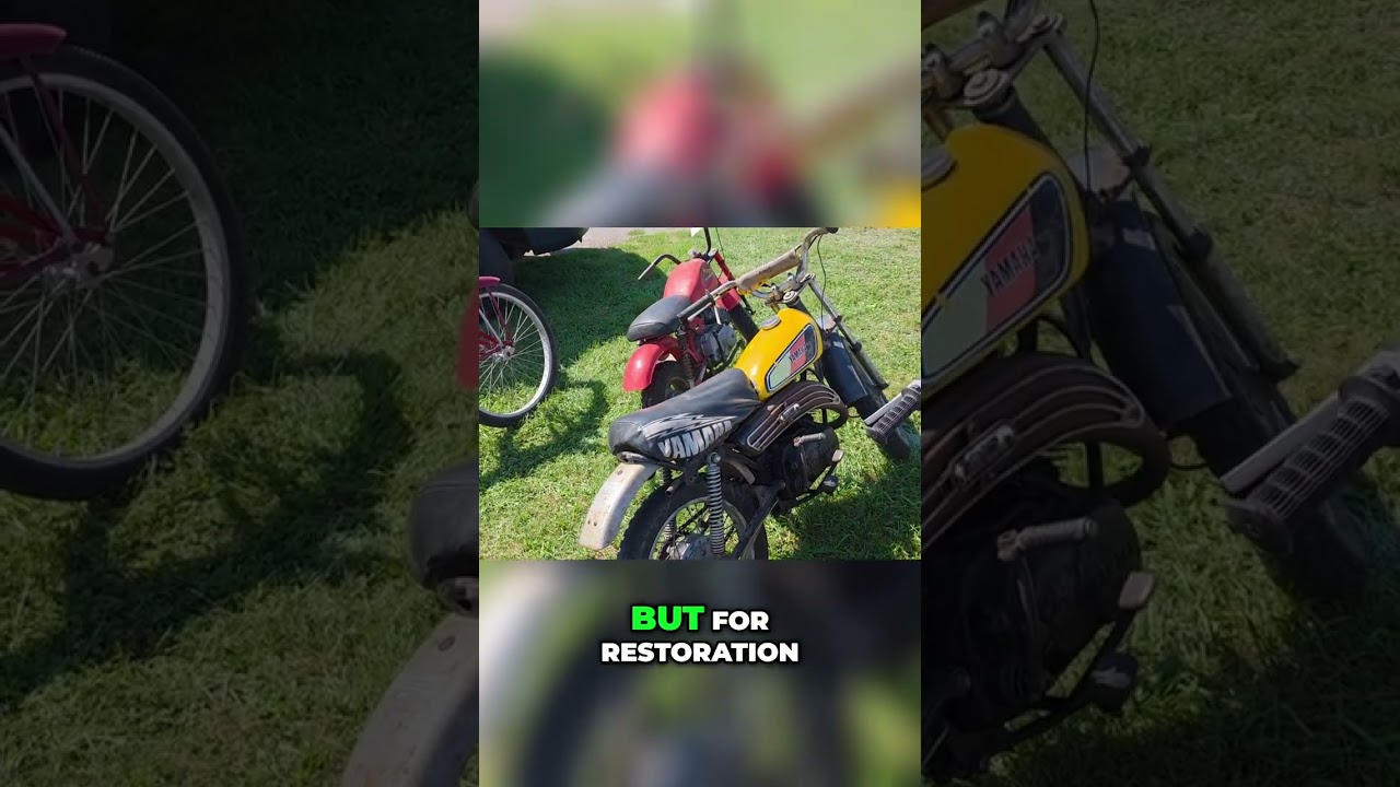 Bike Restoration: Worth It or Washed Up? 