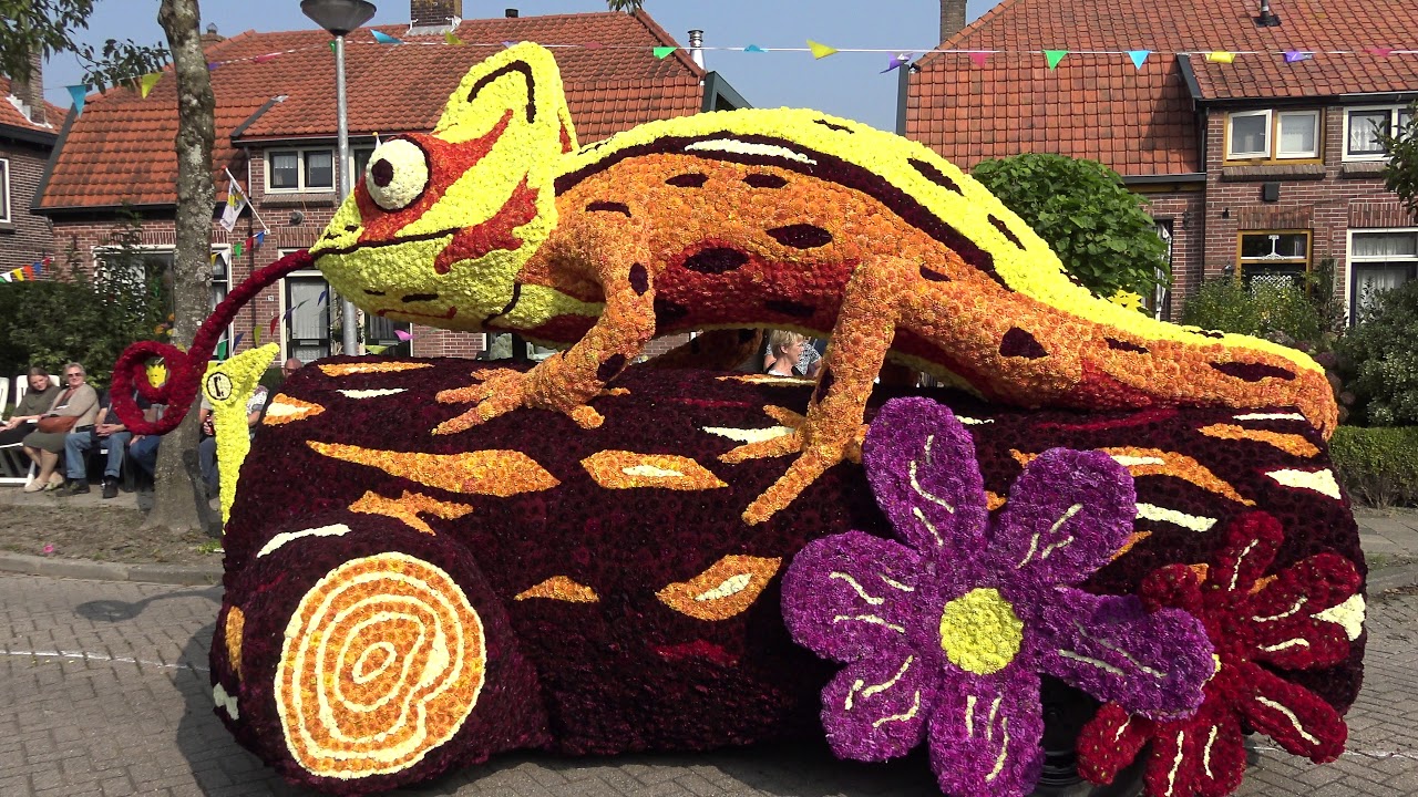 Bloemencorso Winkel 2017