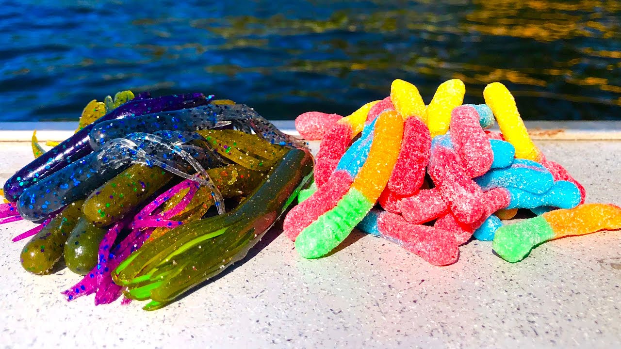 Gummy Candy vs Soft Plastic Fish-Off!