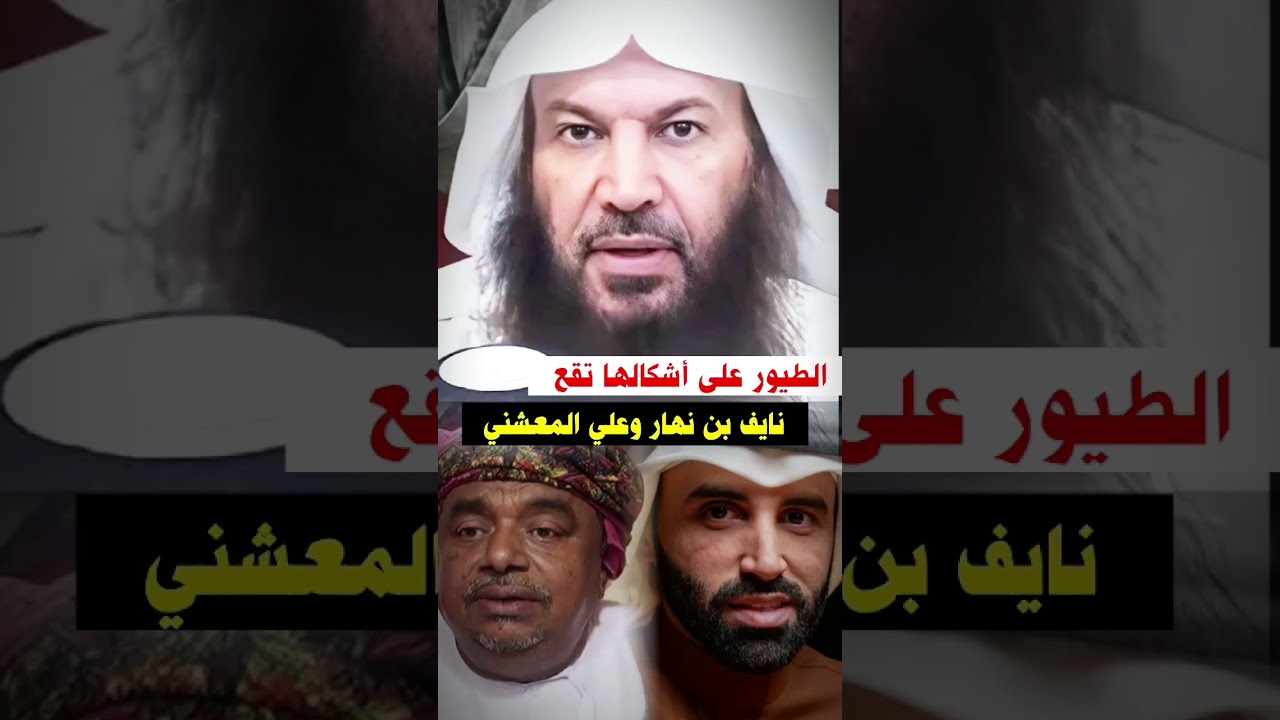 علي المعشني و نايف بن نهار و عقيدة الإلحاد ، أهل البدع على أشكالهم يقعون | الشيخ سالم الطويل