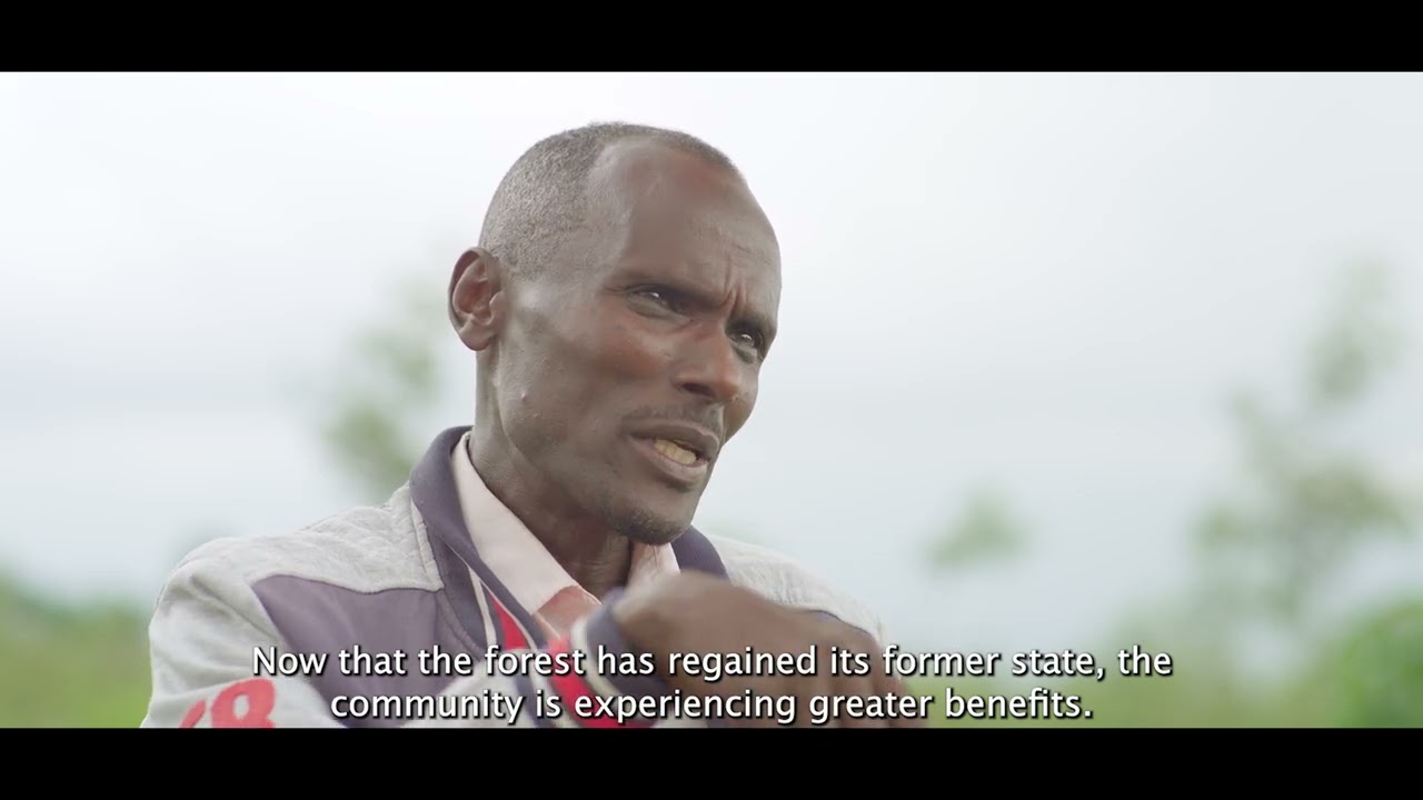 BioDiversity - Documentary