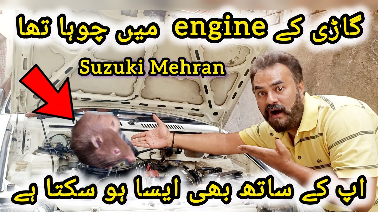 Suzuki Mehran | coolant ka kia faida hain | gear oil kaise daly ge | car main chowa ah gya