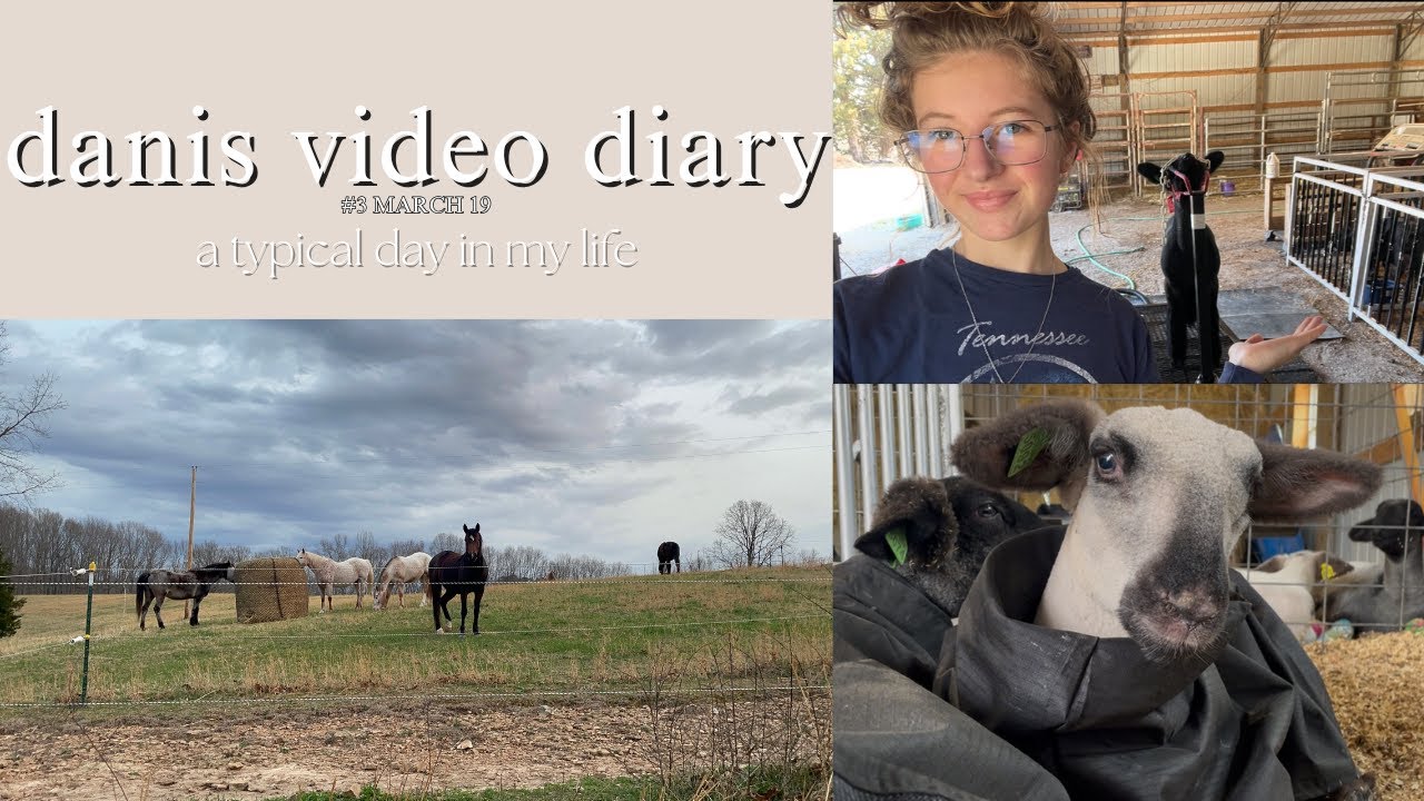 danis video diary #3 // a typical day in my life