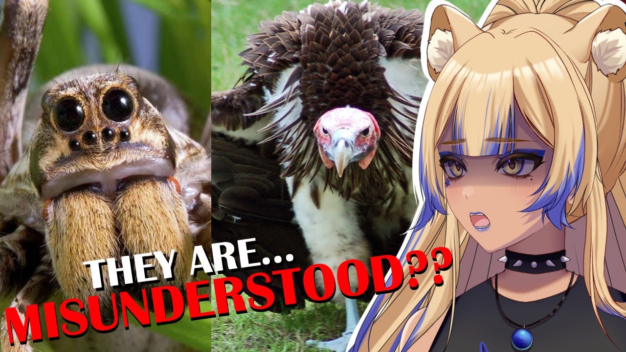 We've been LIED to?! | Top 10 Most Criminally Misunderstood Animals | Casual Geographic Reaction