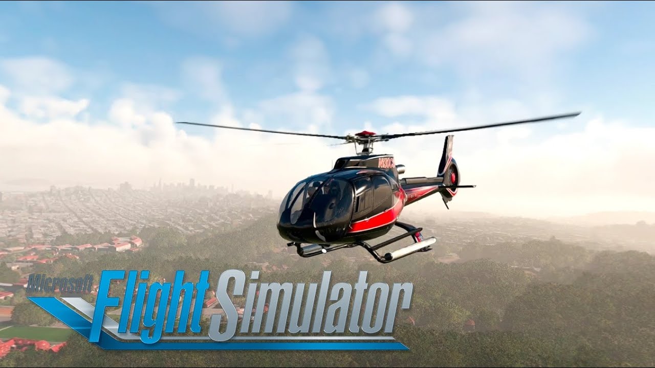 Must Avoid Bird Strikes! H130 Tour Flight Over San Francisco!!