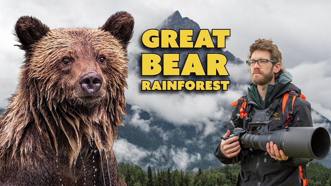 Wildlife Photography in the Great Bear Rainforest – Grizzlies, Camera Settings, and More!