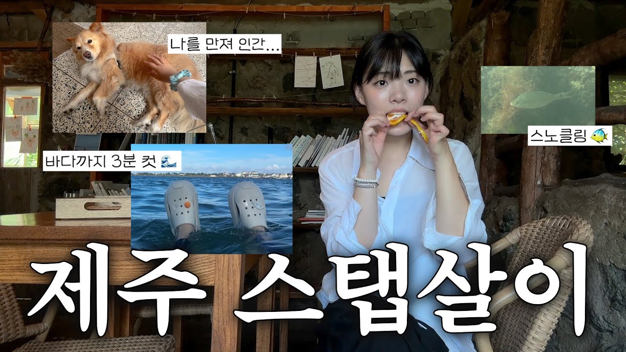 제주 한달살이 #2 : 동숲 같은 일상, 제주도 스탭살기, 동쪽 카페 추천, 빵집 인사리 감자스프, 나이테 빙수🍧, 당근과 깻잎, 스노클링하기