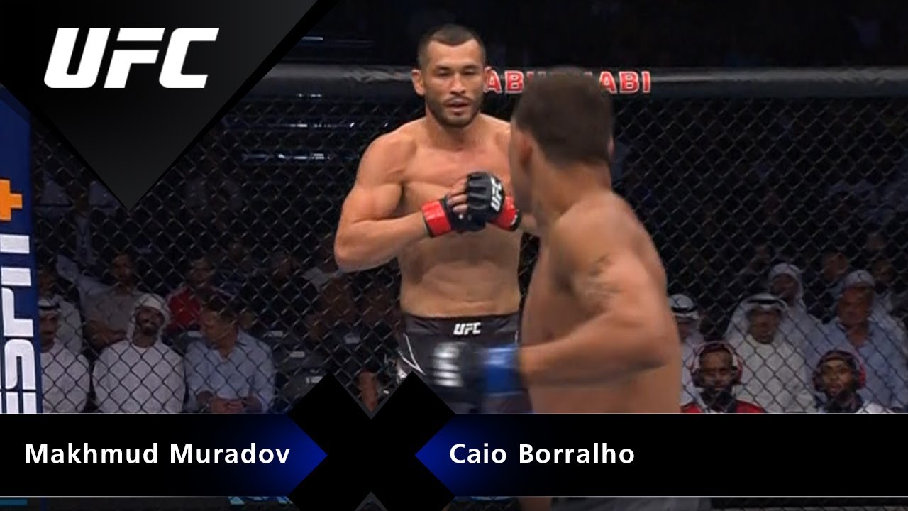 Highlights UFC 280: Makhmud Muradov vs. Caio Borralho