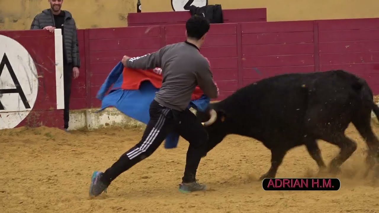 Prueba de animales de J.L. Cuartero