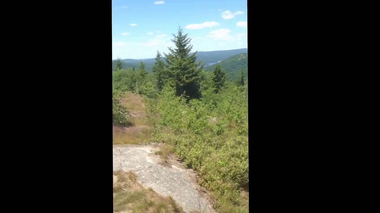 Central Adirondacks from the summit of Coney Mountain