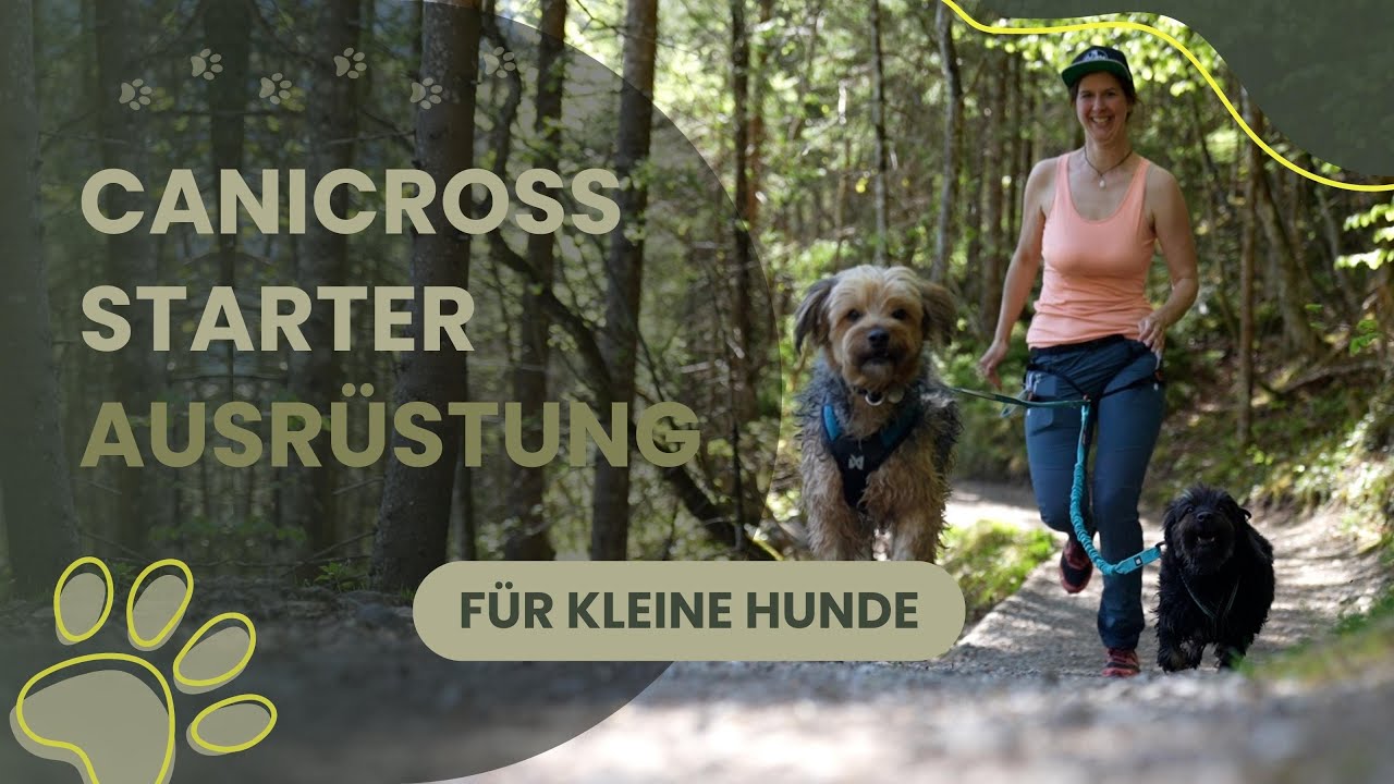 Canicross - Starter - Ausrüstung für kleine Hunde