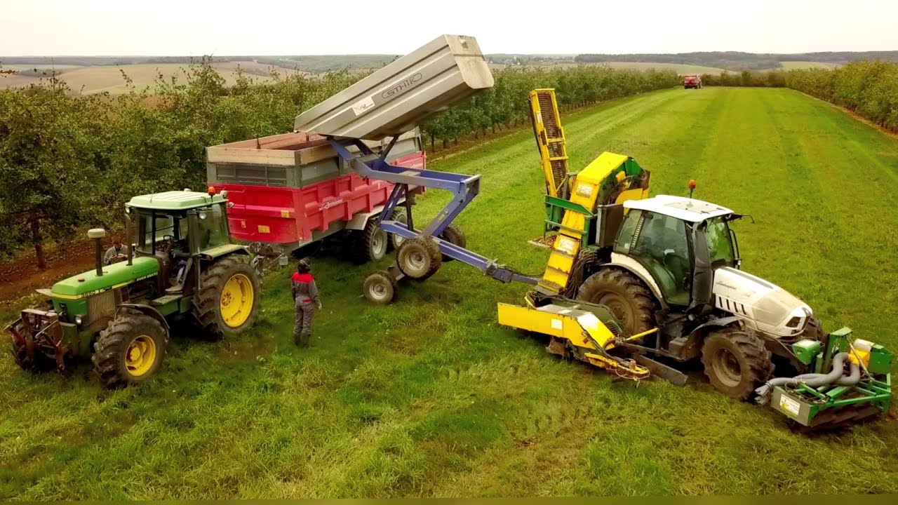 Récolte de pommes à cidre au sol | Machine de récolte installée sur tracteur!