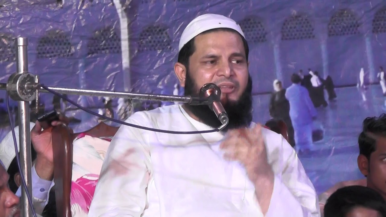 Syed Zeeshan ul Mujtaba