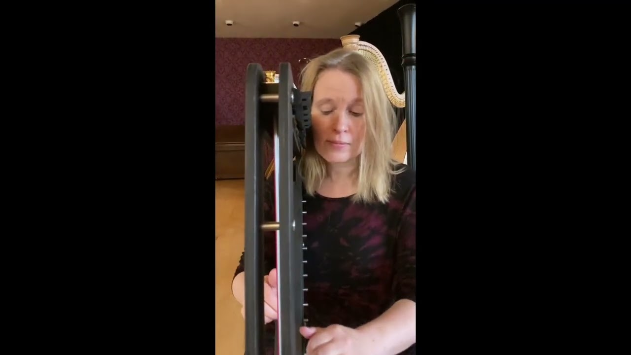 Introducing the Harp-E- Kristine Warmhold and De zingende Snaar, Rhenen, NL