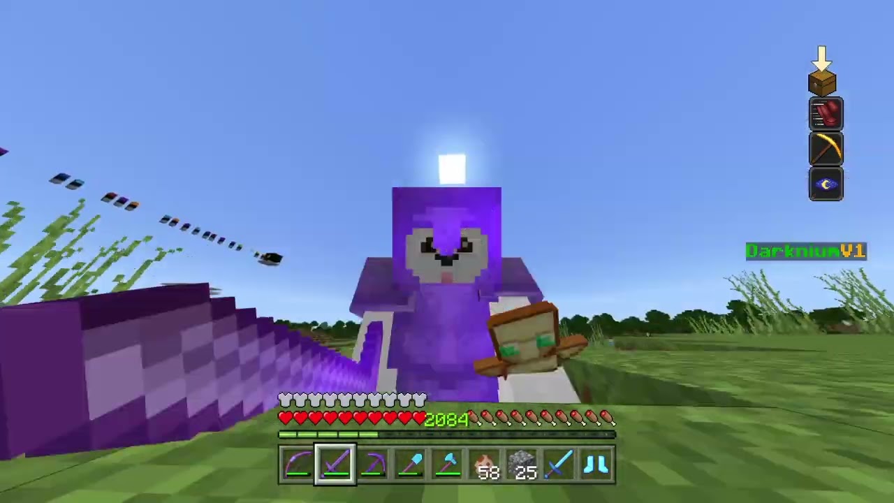 Minecraft pillage sur mon serv pvp faction