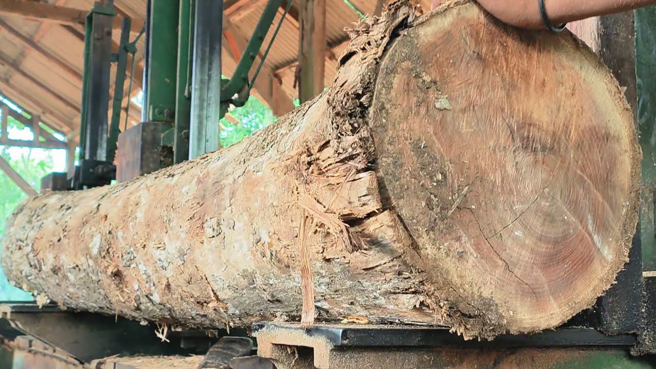 The process of turning teak wood into sheets and frame beams of FANTASTIC value 