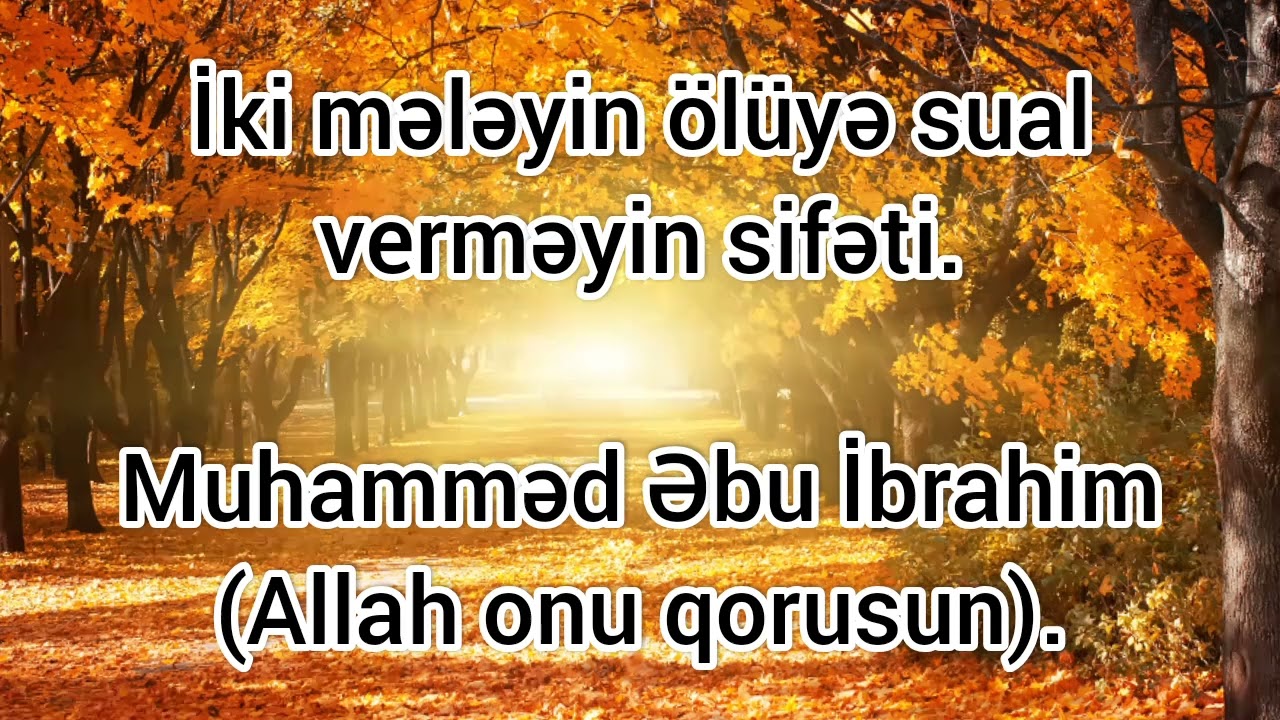 İki mələyin ölüyə sual verməsi.