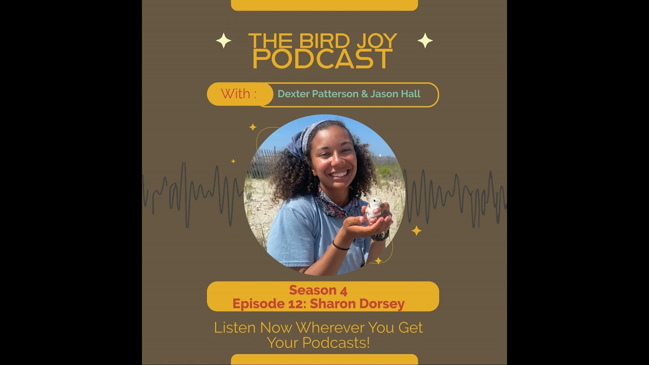 Birding, Outreach, and Building an Ecological Identity