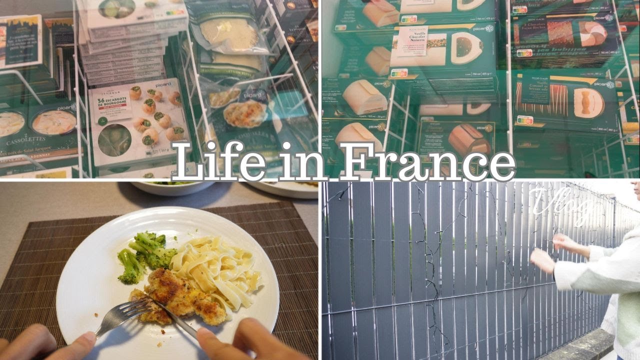 Before Christmas, breaded pork for lunch, Grocery Shopping, A day in my life .Living in France VLOG