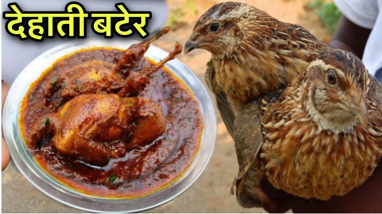 मांसाहारी होकर देहाती बटेर नहीं खाया तो क्या खाया | Quail Recipe In Village Style | Quail Recipe