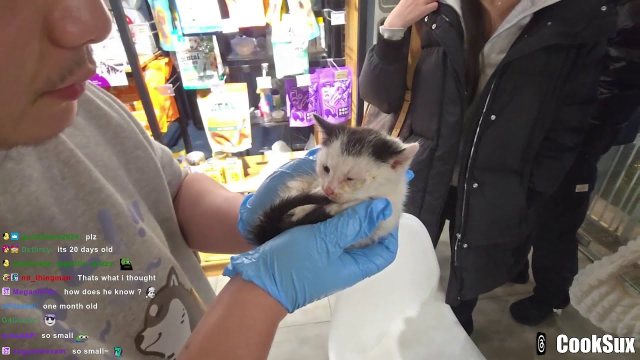 2024.03.05: Scuffed Shanghai Tours w/ @may5w @jakenbakeLIVE @waterlynnn | Shanghai, China