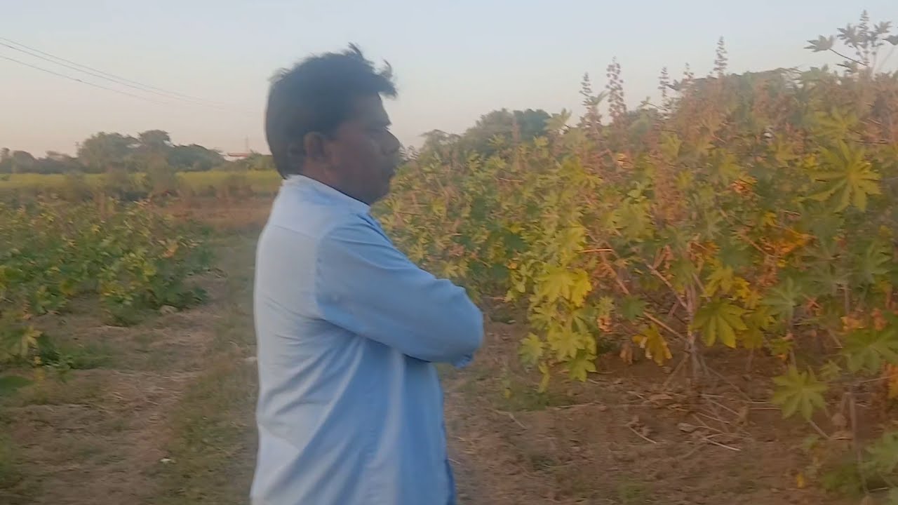 New vlogs// RAVALFAMILY_6419 #viralvideo #minivlog #gujarativlog 