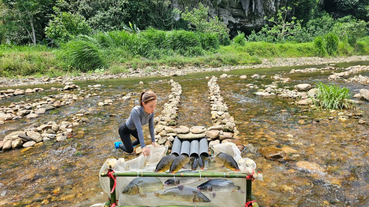 Ana used PVC pipe and white net to make a fish trap in the stream. Luckily, she caught a lot of fish