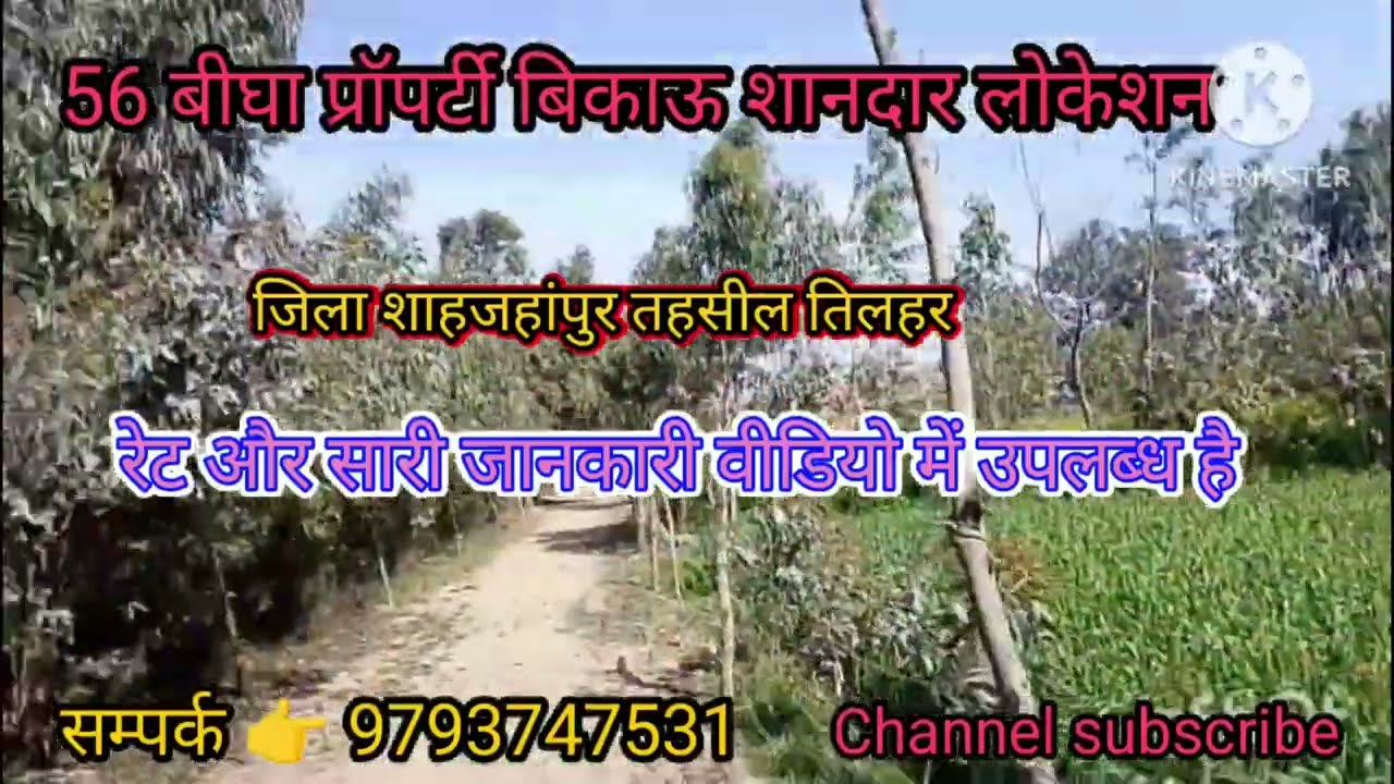 संपर्क - 9793747531 # 56 #  बीघा जमीन बिकाऊ जिला शाहजहांपुर रेट मात्र 290000 रुपए पर बीघा 
