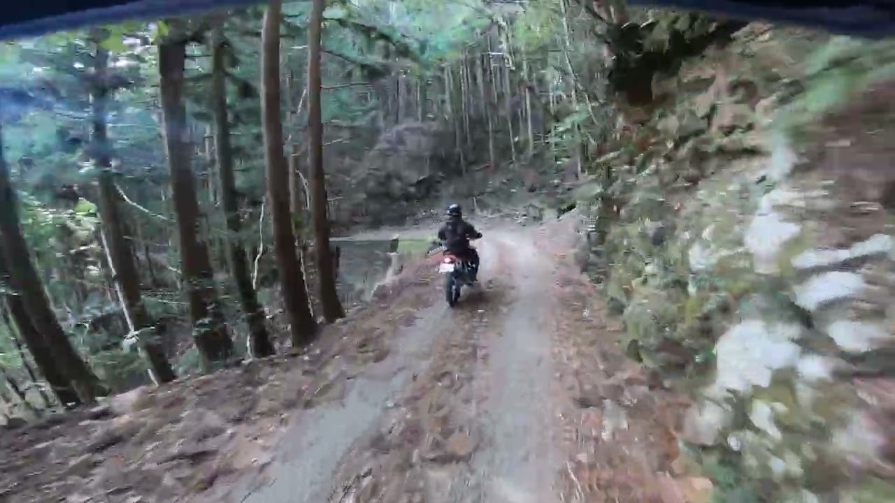 リハビリ林道　4　XR250