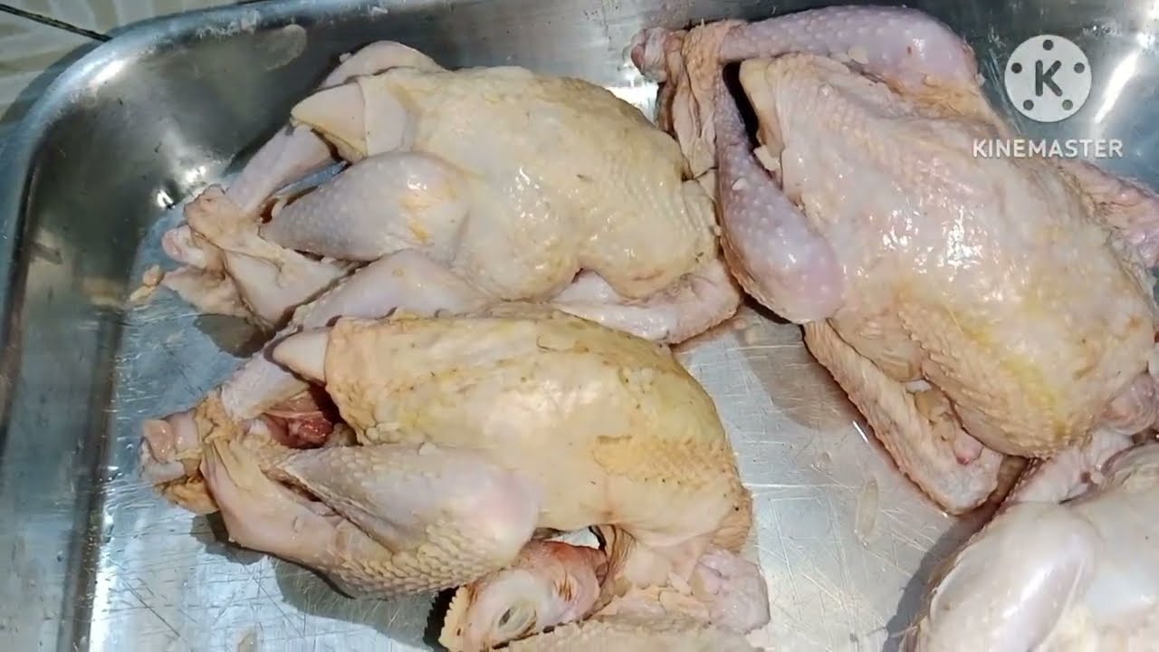 اول يوم فبيت العيلة @alaaelgebaly  &lrm;@user-re6tv8hn3t&nbsp;@اكل
