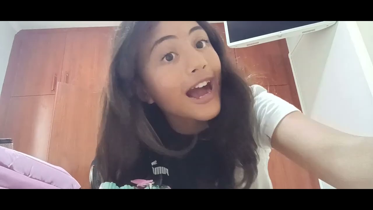 Mostrando o meu material escolar de 2026!!!