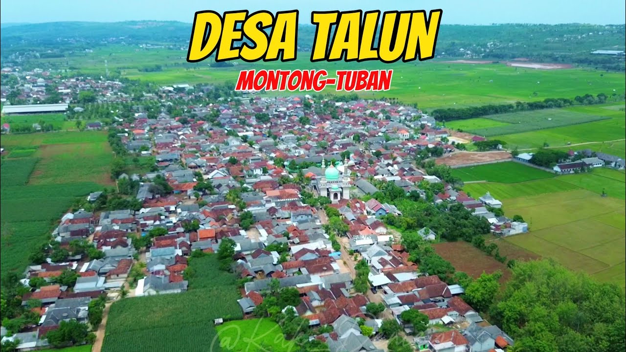 Pesona Desa Talun,Kec.Montong-Tuban‼️Dari Angkasa,Desanya Mantan Bupati Tuban Pak Huda